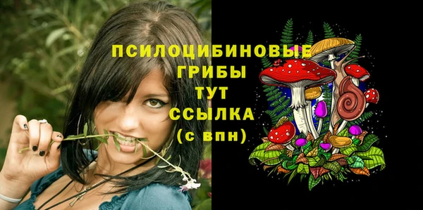 ALPHA PVP Армянск