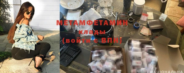 прущие грибы Саяногорск