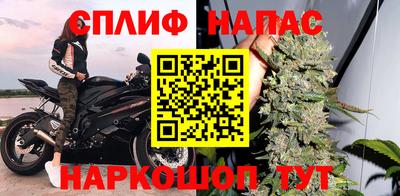 сатива Апшеронск