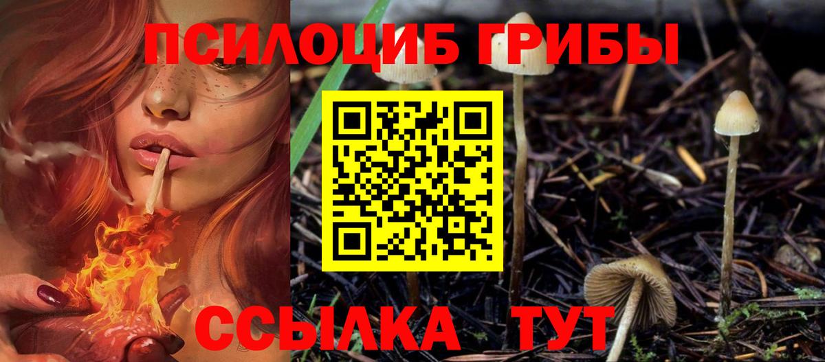 Галлюциногенные грибы ЛСД  Вход с VPN  Беслан 