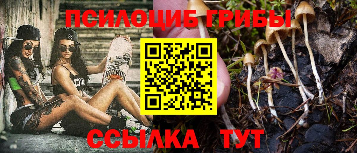 Галлюциногенные грибы GOLDEN TEACHER Беслан